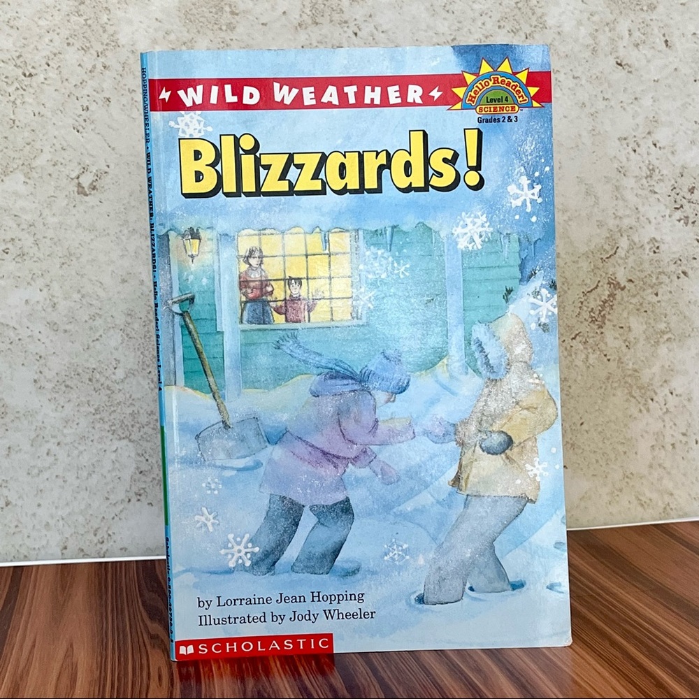 Blizzard Childrens Book
